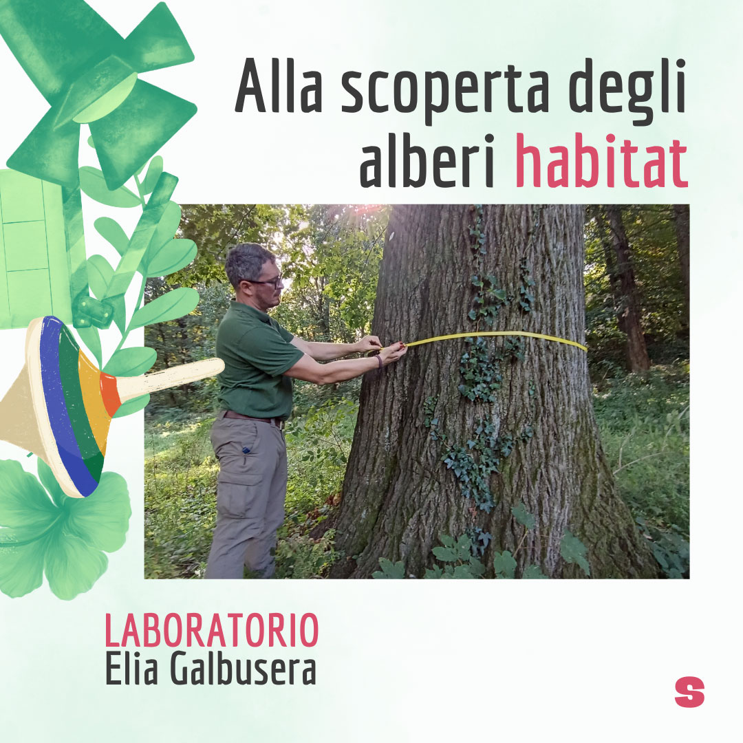 Alla scoperta degli alberi habitat